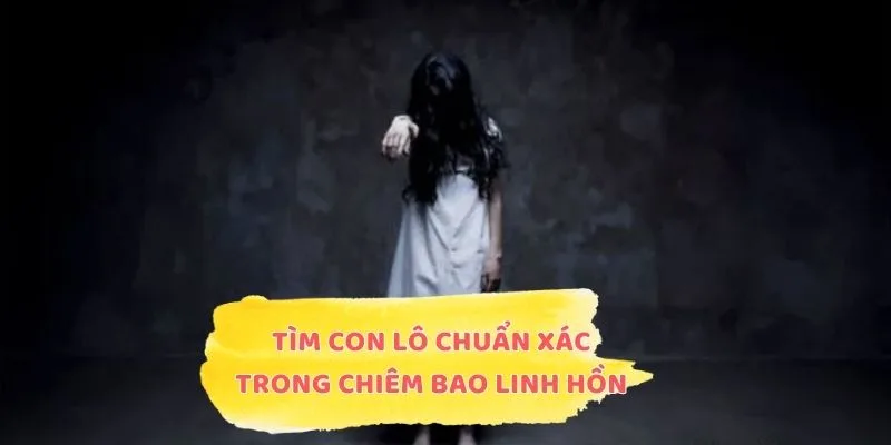 Tìm con lô chuẩn xác trong chiêm bao linh hồn